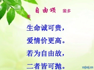 鱼我所欲也课件