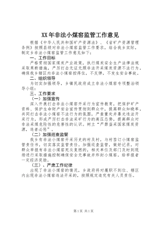 XX年非法小煤窑监管工作意见