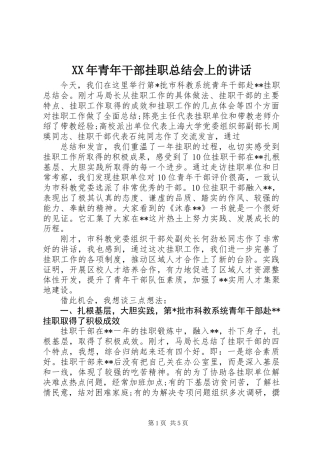 XX年青年干部挂职总结会上的讲话