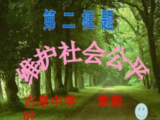 维护社会公平