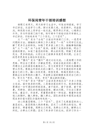 环保局青年干部培训感想