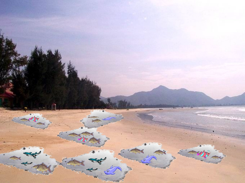 这条小鱼在乎_第3页