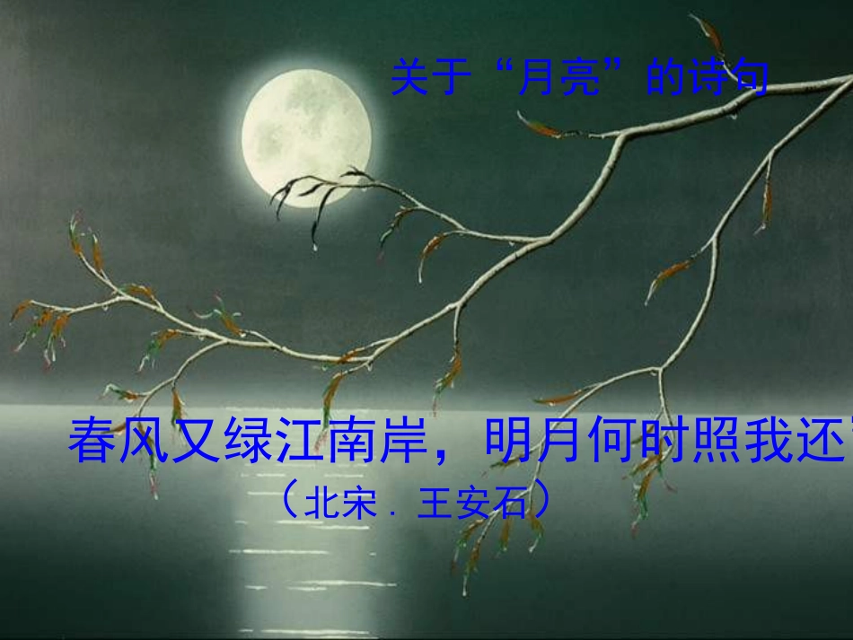 八年级《记承天寺夜游》_第3页