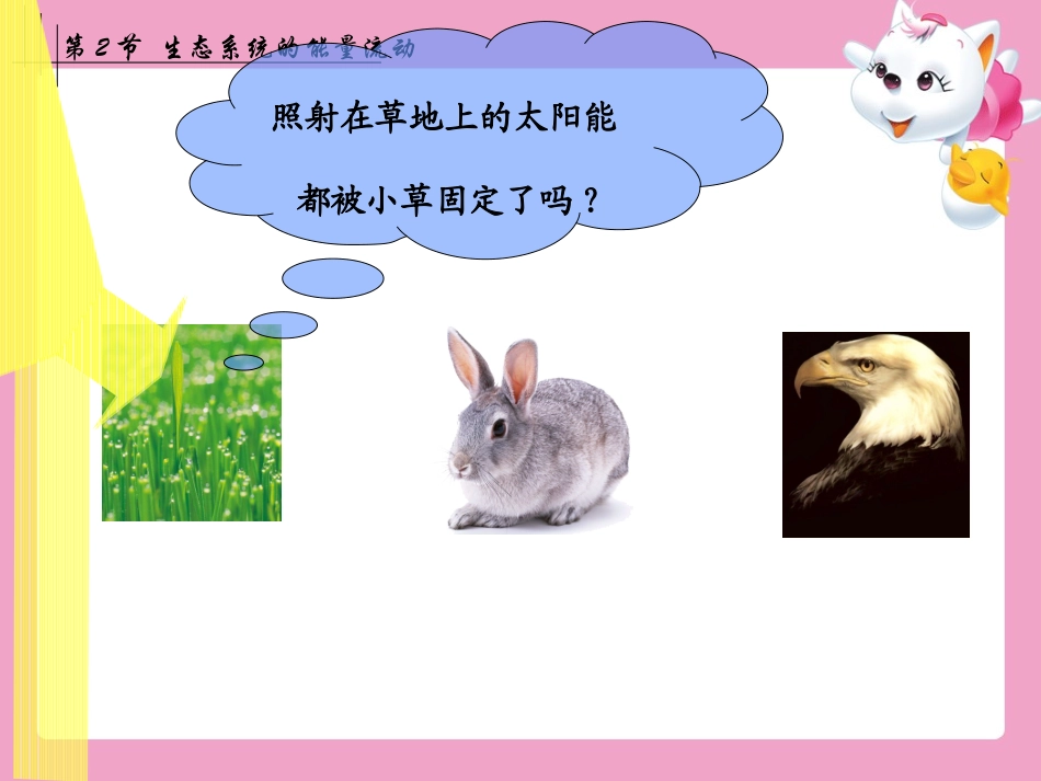 生态系统的能量流动_第3页