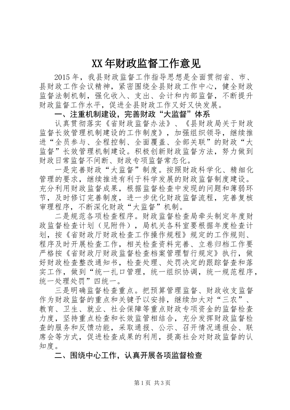 XX年财政监督工作意见_第1页
