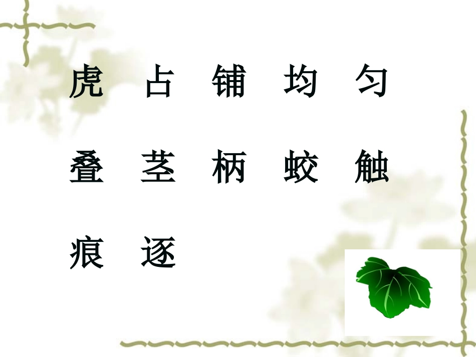 爬山虎的脚 (2)_第3页
