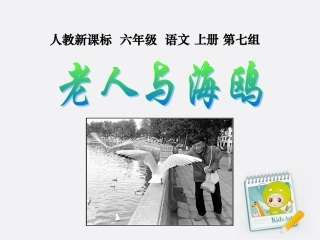 《老人与海鸥》课件之五