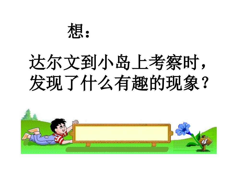 有趣的发现PPT（二上）_第2页
