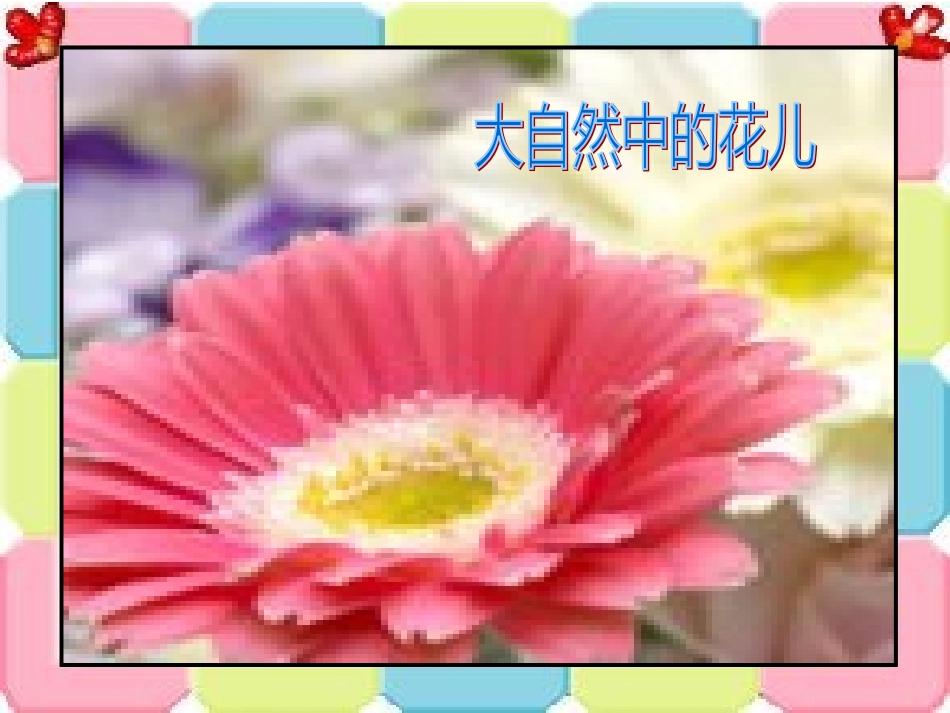 《鲜花送老师》_第2页