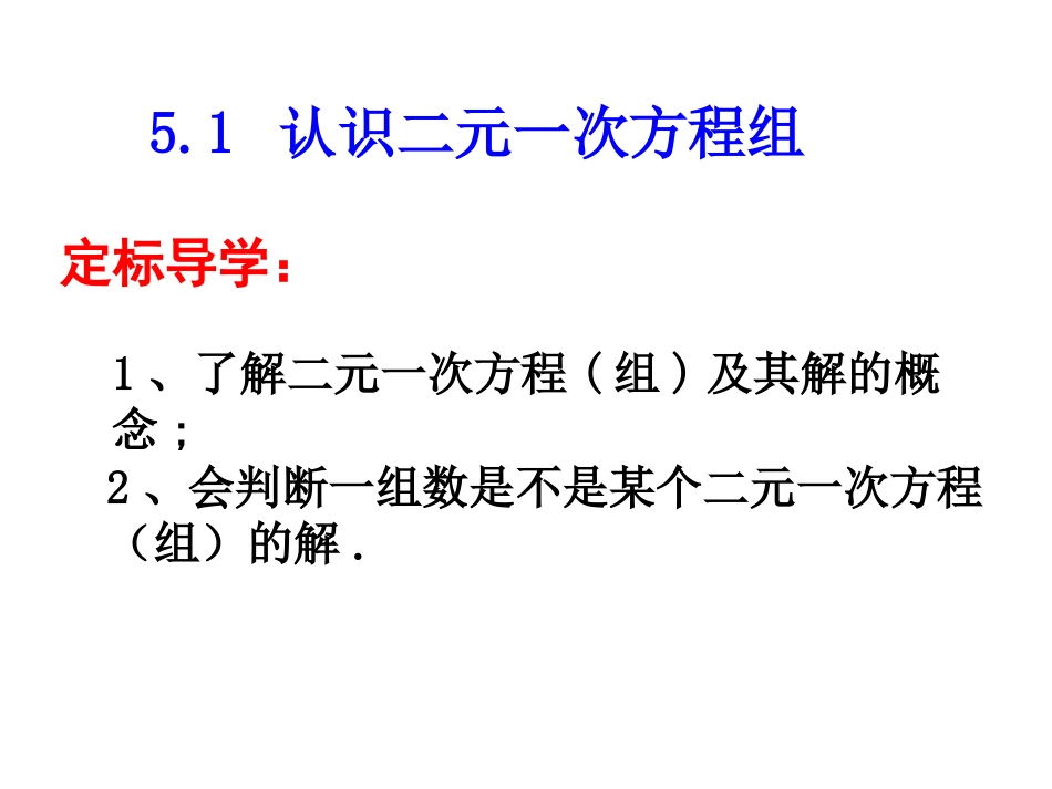 认识二元一次方程组_第2页
