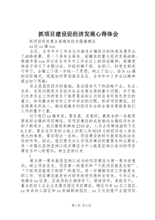 抓项目建设促经济发展心得体会