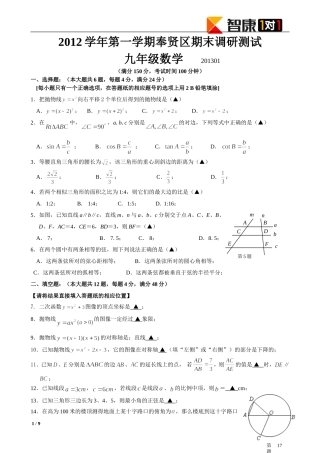 2013奉贤区中考数学一模试卷