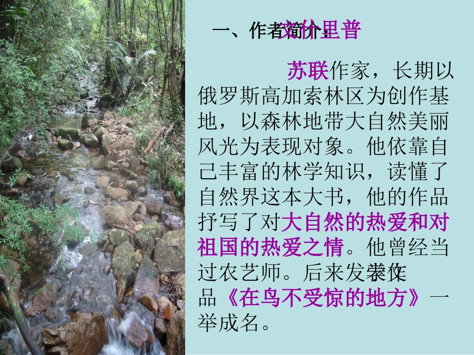 《林中小溪》_第2页