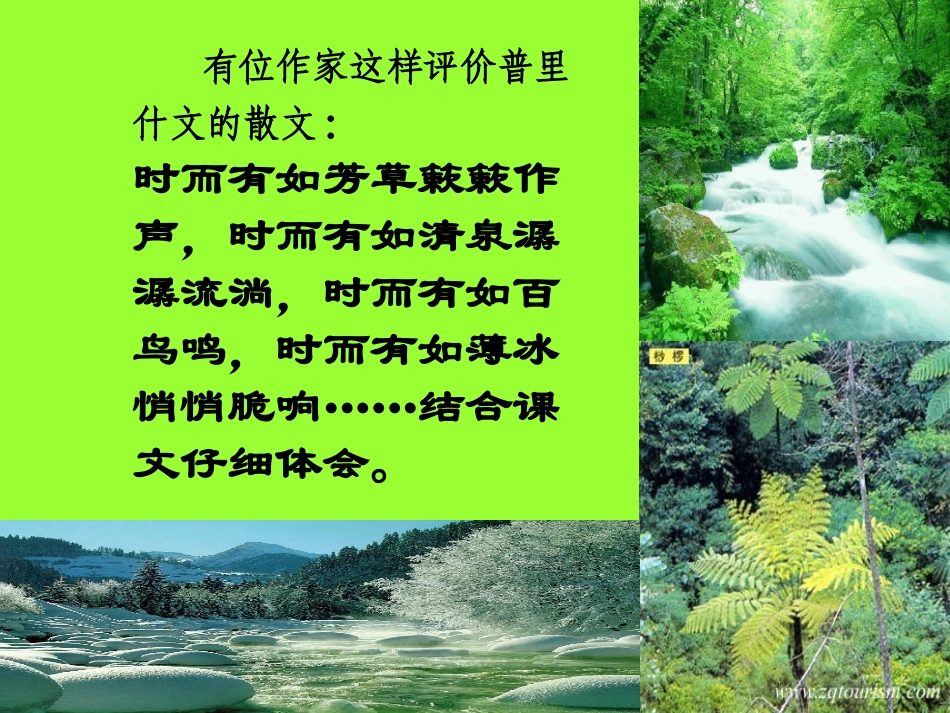 《林中小溪》_第3页
