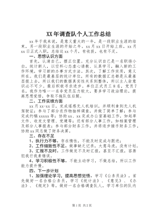 XX年调查队个人工作总结