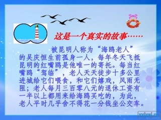 老人与海鸥上课