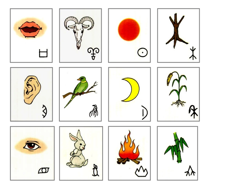 人教版一年级《口耳目》PPT课件_第1页