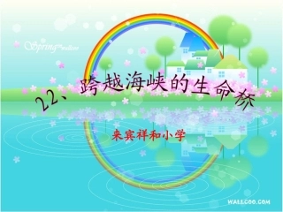 跨越海峡的生命桥 