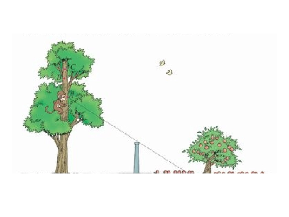 六年级上册《观察的范围》课件_第2页