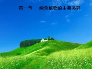鲁教版第一节绿色植物的类群