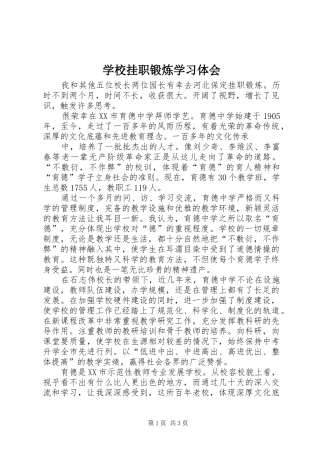 学校挂职锻炼学习体会