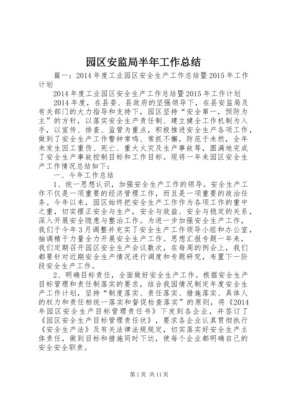 园区安监局半年工作总结_第1页