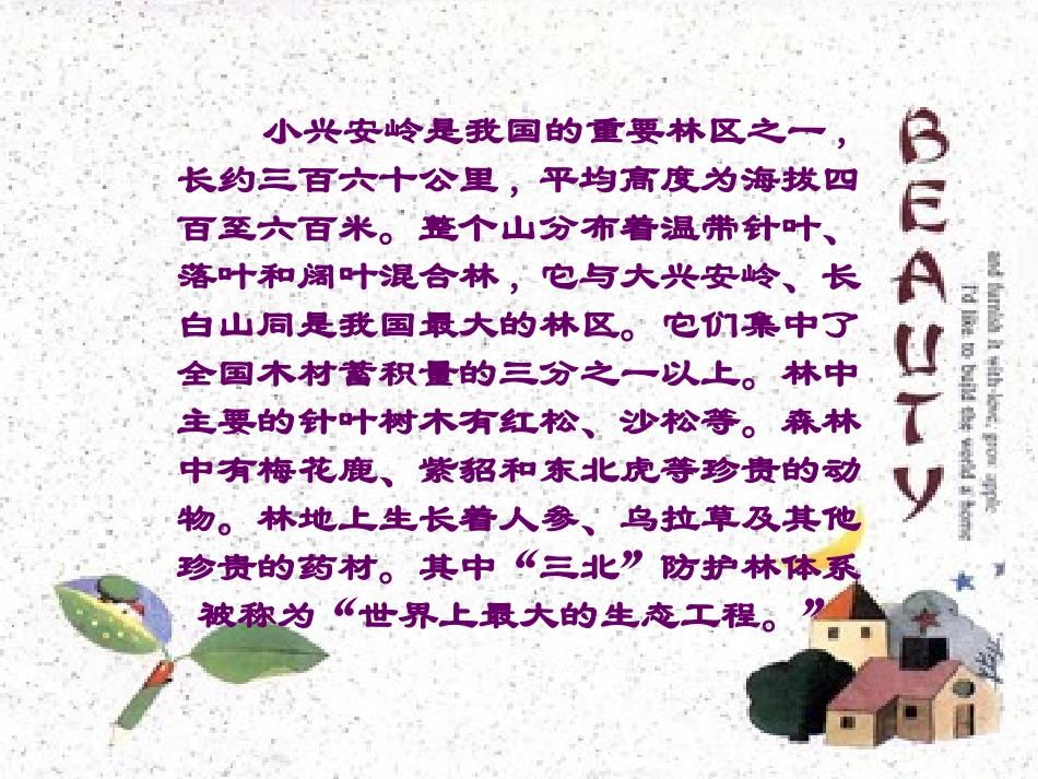 美丽的小兴安岭 (4)_第2页