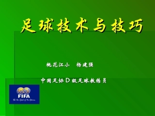 足球技术与技巧