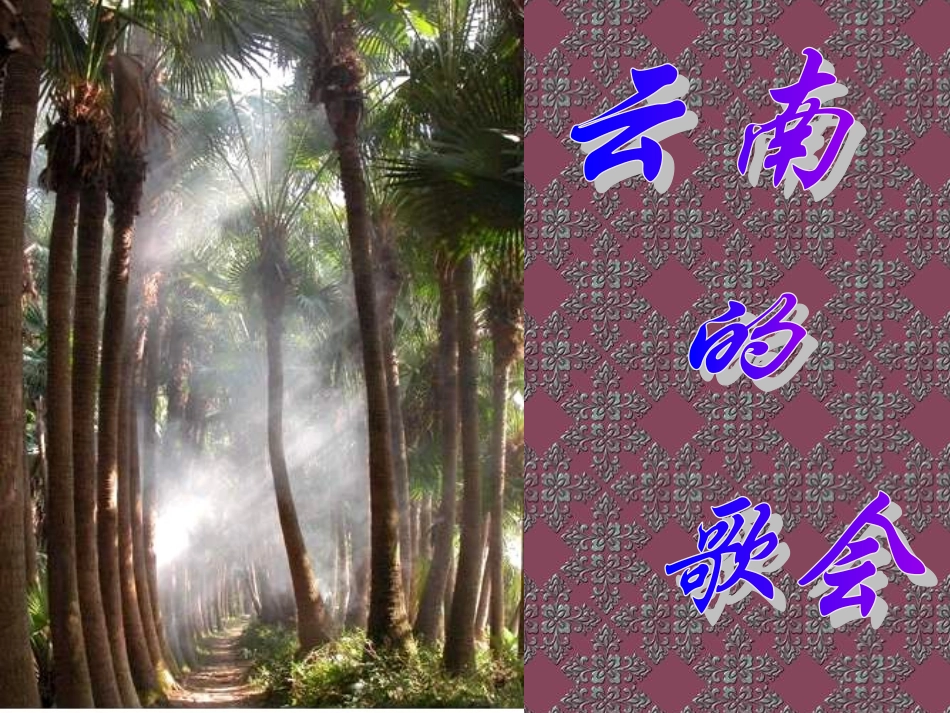 八年级语文云南的歌会1_第1页