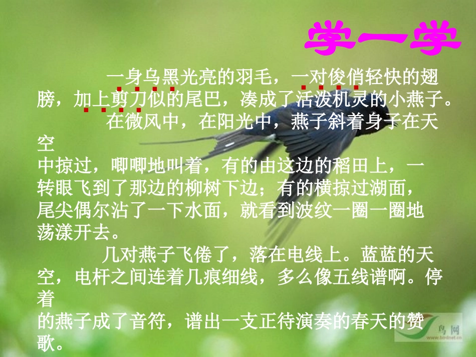 作文（写小动物）_第3页