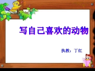 作文（写小动物）