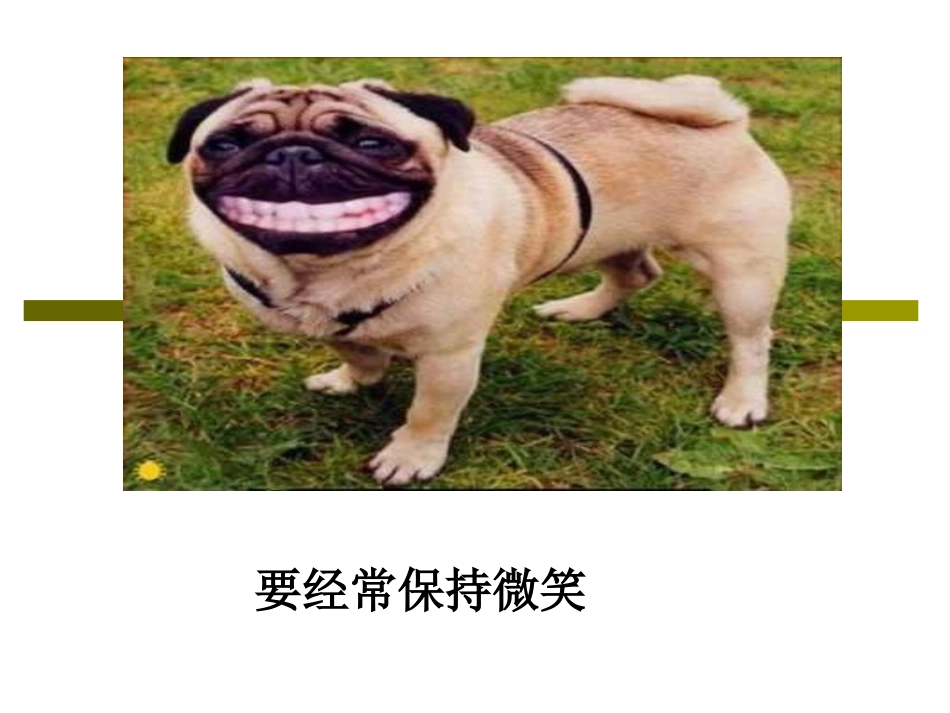 图标的理解与概括_第3页