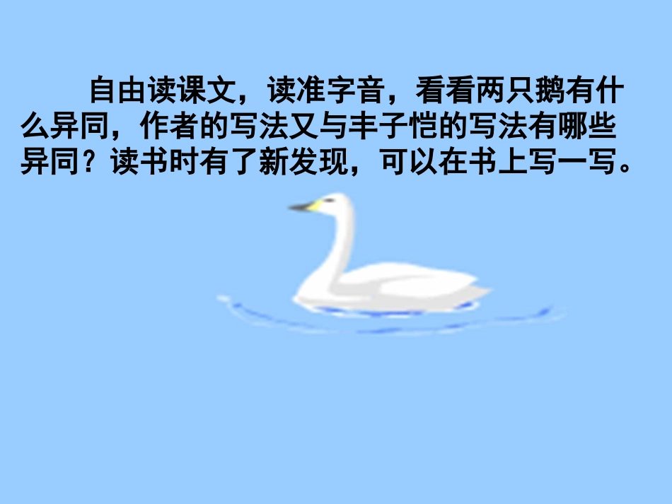 白公鹅课件(1)_第3页