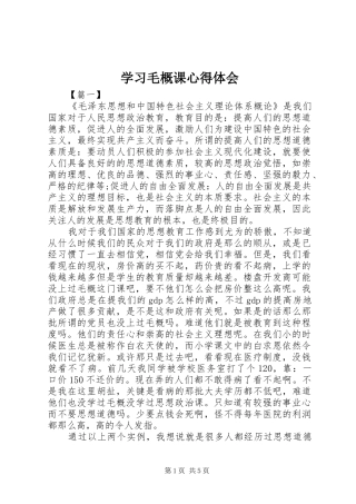 学习毛概课心得体会