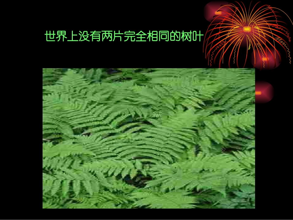 让生命之花绽放 (2)_第3页