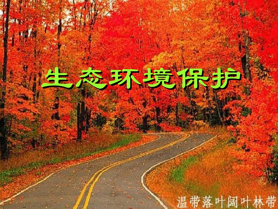 【地理】1人教版选修6_第四章_第一节_森林及其保护_第1页