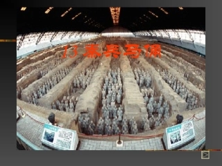 秦兵马俑图片欣赏