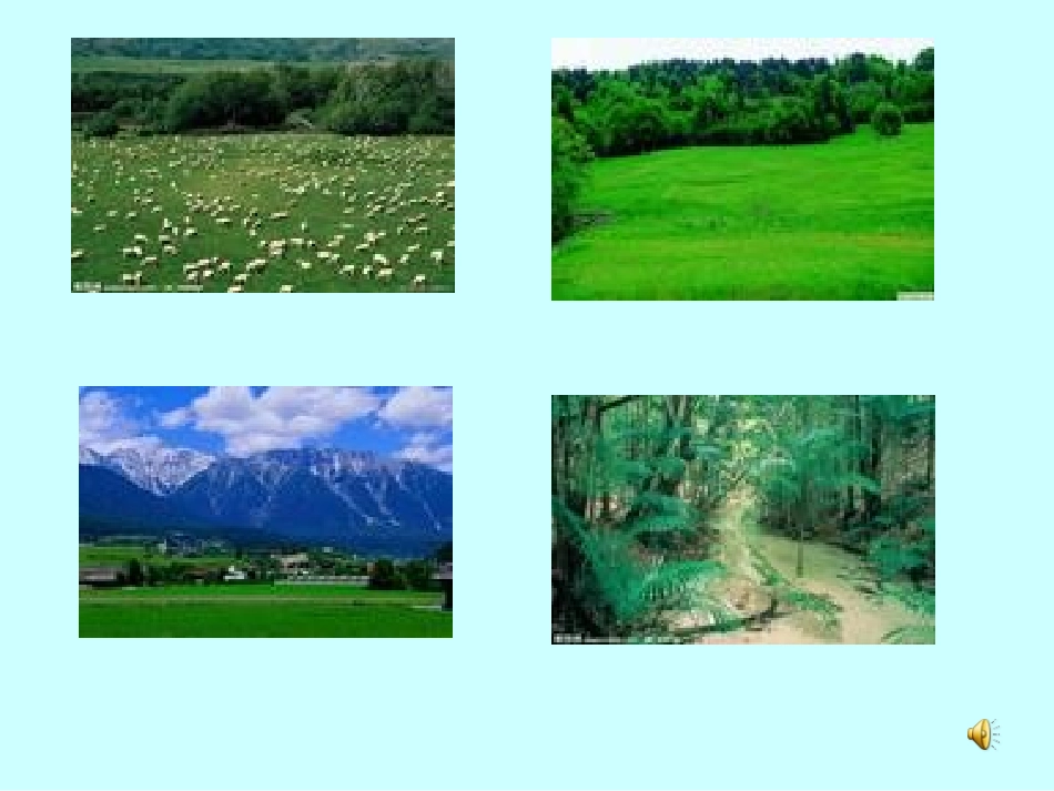 苏教版小学语文四年级上册《珍珠鸟》课件_第1页