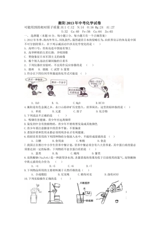 2013年衡阳市化学试题