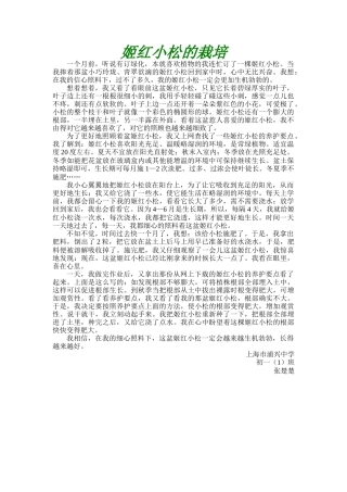 姬红小松的栽培（张楚楚）