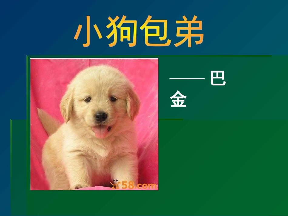 小狗包弟经典课件_第1页