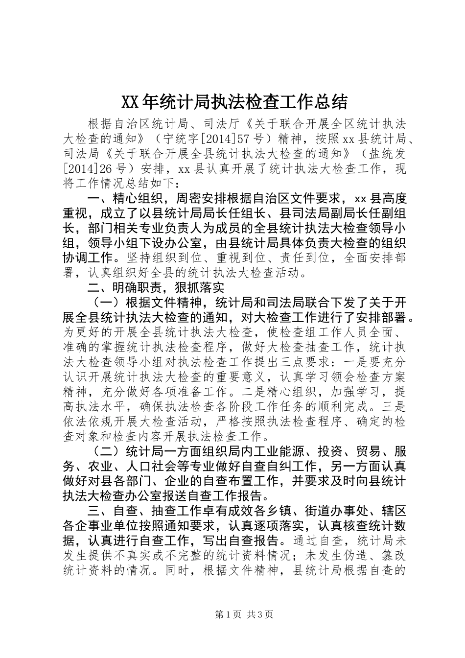 XX年统计局执法检查工作总结_第1页