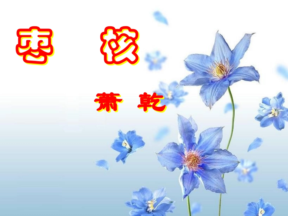 八年级上《枣核》_第1页