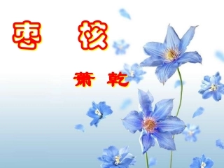 八年级上《枣核》