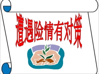 《遭遇险情有对策》参考课件2