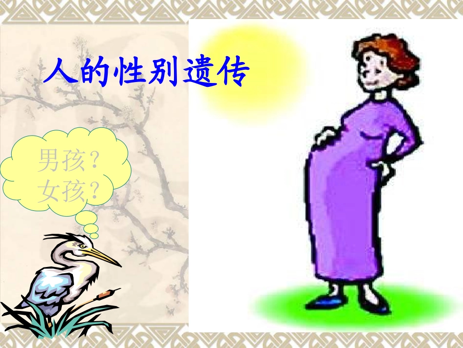 人的性别遗传_第1页