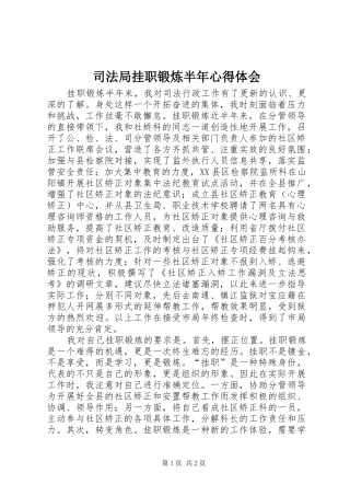 司法局挂职锻炼半年心得体会