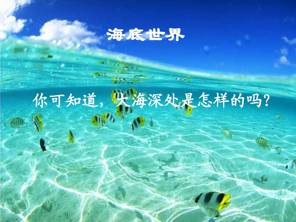 《海底世界》课件_第1页