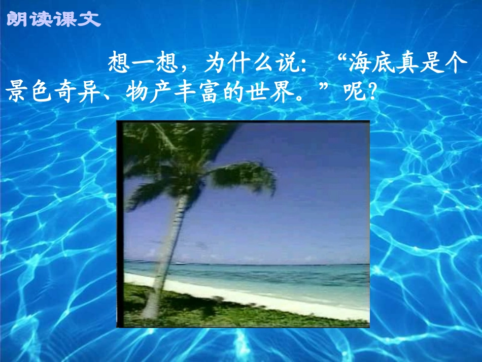 《海底世界》课件_第3页