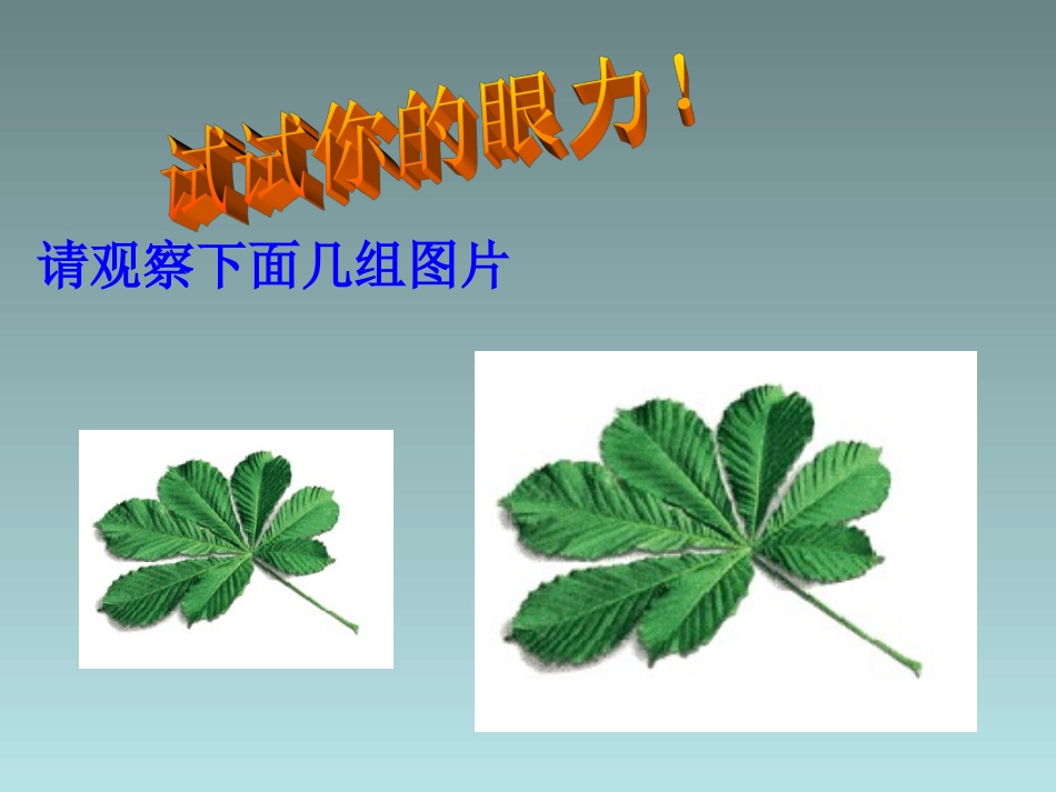 图形的相似课件_第2页